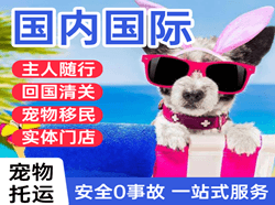 秦皇岛机场快递国际宠物托运 【国